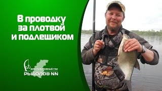 В проводку за плотвой и подлещиком