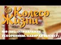 Колесо Жизни: №9 (101)  «УПРАВЛЕНИЕ УСКОРЕНИЕМ. НАБИРАЯ ВЫСОТУ»