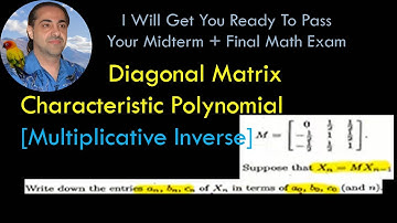 Diagonal Matrix Characteristic Polynomial [Multiplicative Inverse]