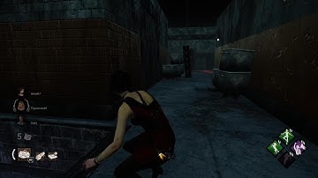 DBD 2 killer hacker report 1