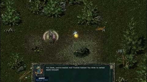 Divine Divinity - Sword in the Stone