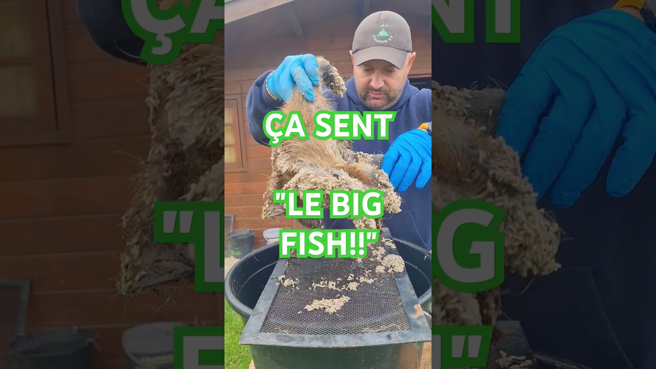 Les asticots gratuits pour LA PÊCHE, ÇA CONTINUE!!!