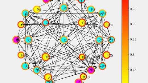 MOCO - Weighted Directed Graph of CNS/Brain Network; metronome condition