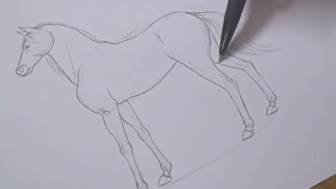 TUTORIAL: COMO DESENHAR UM CAVALO PÉROLAS DA INTERNET (D pesennezcírcuos  (7) DESENHE AS PERNAS DESENHE O ROSTO DESENHE OS PELOS TERMINE  ACRESCENTANDO OS RETOQUES FINAIS - iFunny Brazil