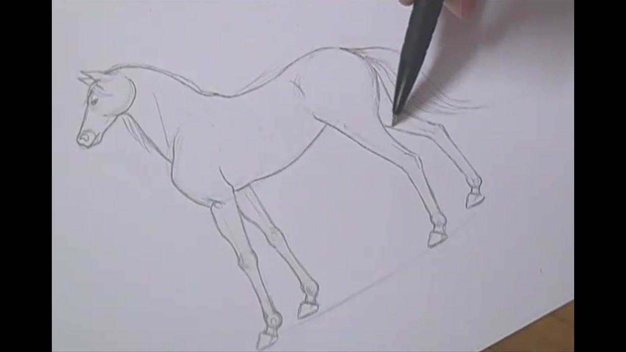 Gráfico digital: um desenho realista de um cavalo de corrida