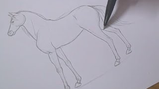 Como desenhar um cavalo passo a passo realista - Como desenhar