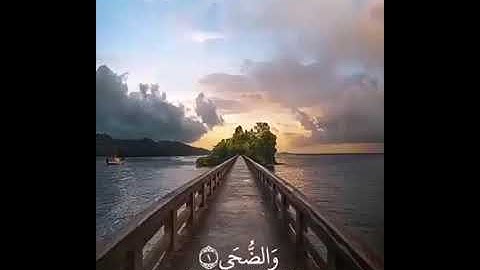 تلاوة رائعة تأخذك الى عالم آخر