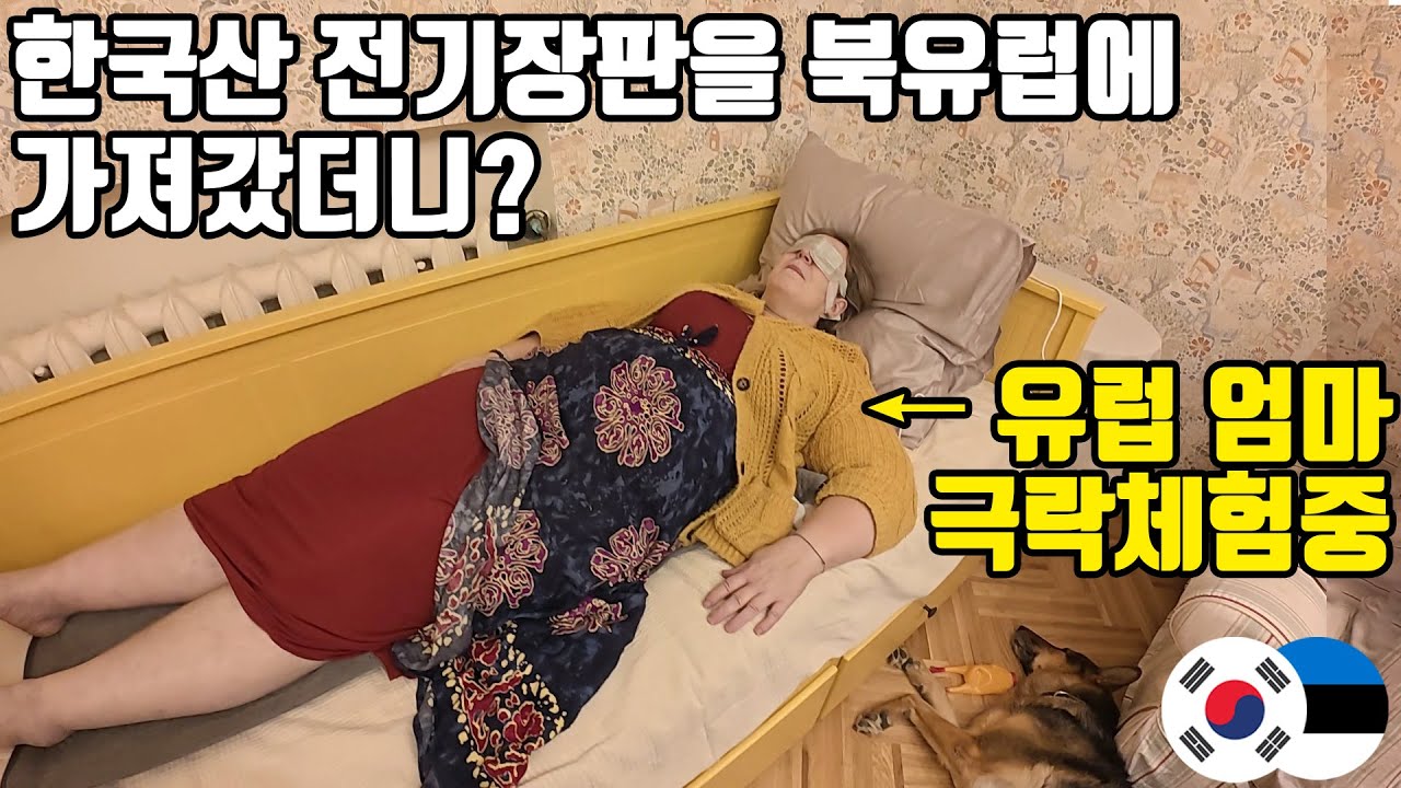 체감 영하 20도 서울 사는 딸이 가져온 전기장판에 녹아내린 북유럽 엄마ㅋㅋ