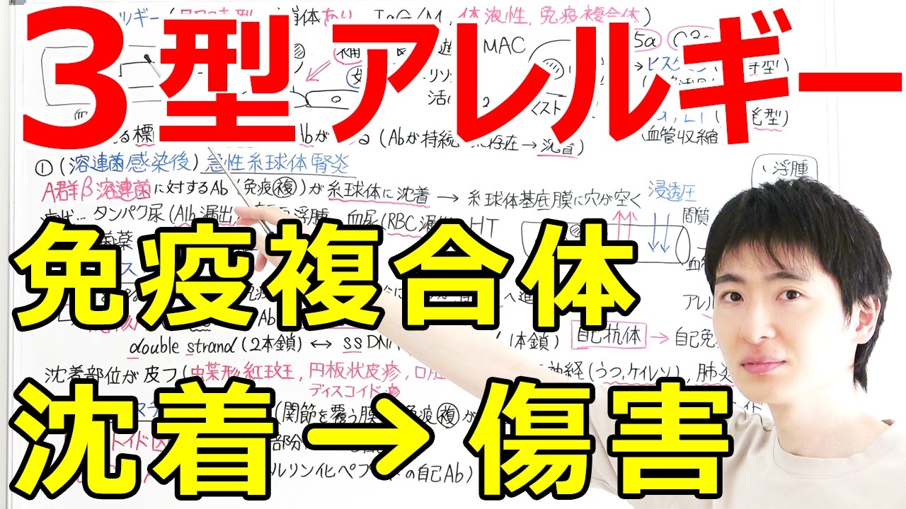 【大学・薬学部の免疫学】3型アレルギーの発症機構と関連疾患【免疫複合体の組織沈着】
