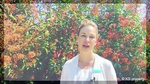 How to lodge a maintenance request