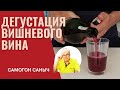 Какое получилось домашнее вино из вишни? Дегустация вишневого вина. / Домашнее виноделие.