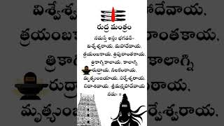 Rudra Mantra Namaste Astu Bagavan Visveswaraya Mahadevaya Trimbakaya