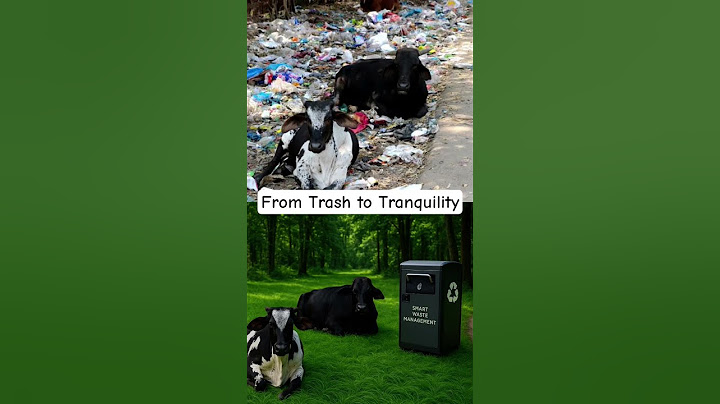 Old India Meets New India🤯: The Garbage Street That Transformed Overnight#reality #india #subscribe