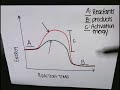 Chemical Reaction Graphs and Enzymes Explained