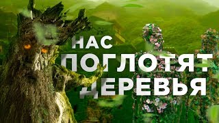 Нас поглотят деревья [Veritasium]