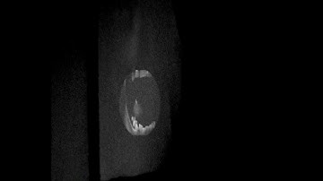 DYNAMIC WITHIN STATIC