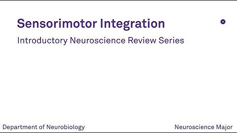 Sensorimotor Integration