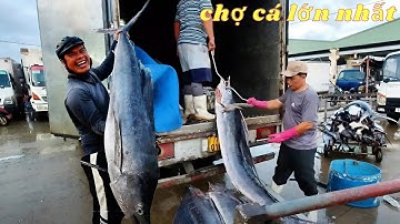 chợ cá Thọ Quang. Trung tâm  hải  sản  lớn  nhất  miền trung