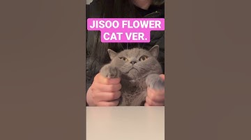 Thumbnail of 🐱JISOO FLOWER🌹 #shorts