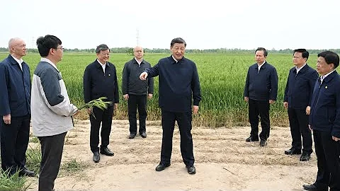 Xi visits city of Cangzhou in north China's Hebei Province - DayDayNews