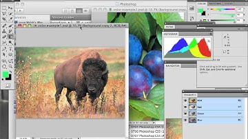 0709 Photoshop CS5 (Assignment).m4v