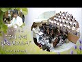 2024-6-2 주일 3부 ㅣ 주여 우리 찬송 받으소서  ㅣ 나사렛 찬양대 ㅣ 여의도순복음동부교회