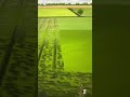 What a differences? #foryou #subscribe #farming #drone #farmingsimulator25 #funny 