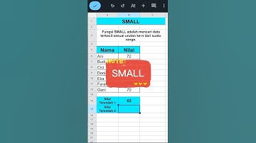 Belajar Excel Mencari Nilai Urutan Terendah Dengan SMALL!#excel  #shorts