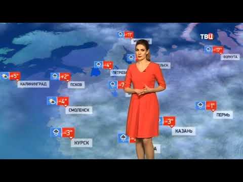 Погода сегодня, завтра, видео прогноз погоды на 2.3.2019 в России и мире
