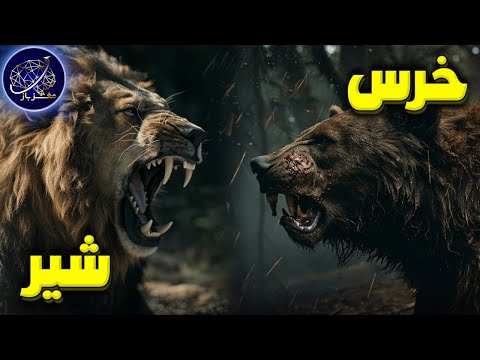 تصویری: آیا خرس های کوالا خرس هستند؟