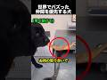 犬にも思いやりはある…優しすぎる瞬間が話題に！