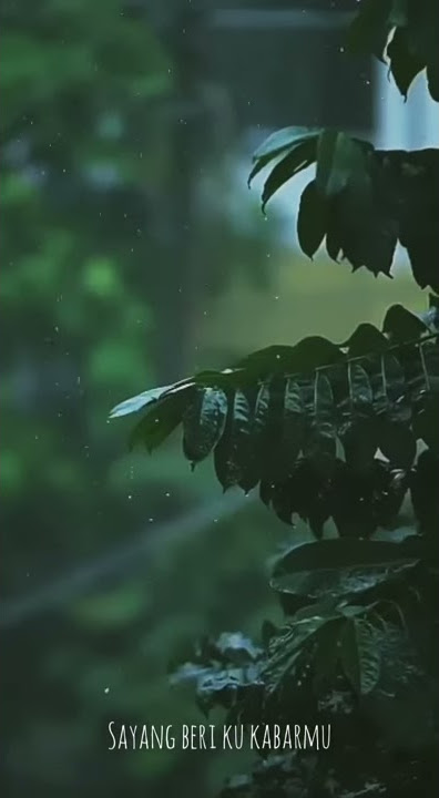 Story wa lagu sedih/suara merdu cover lagu ipank cinta hilang