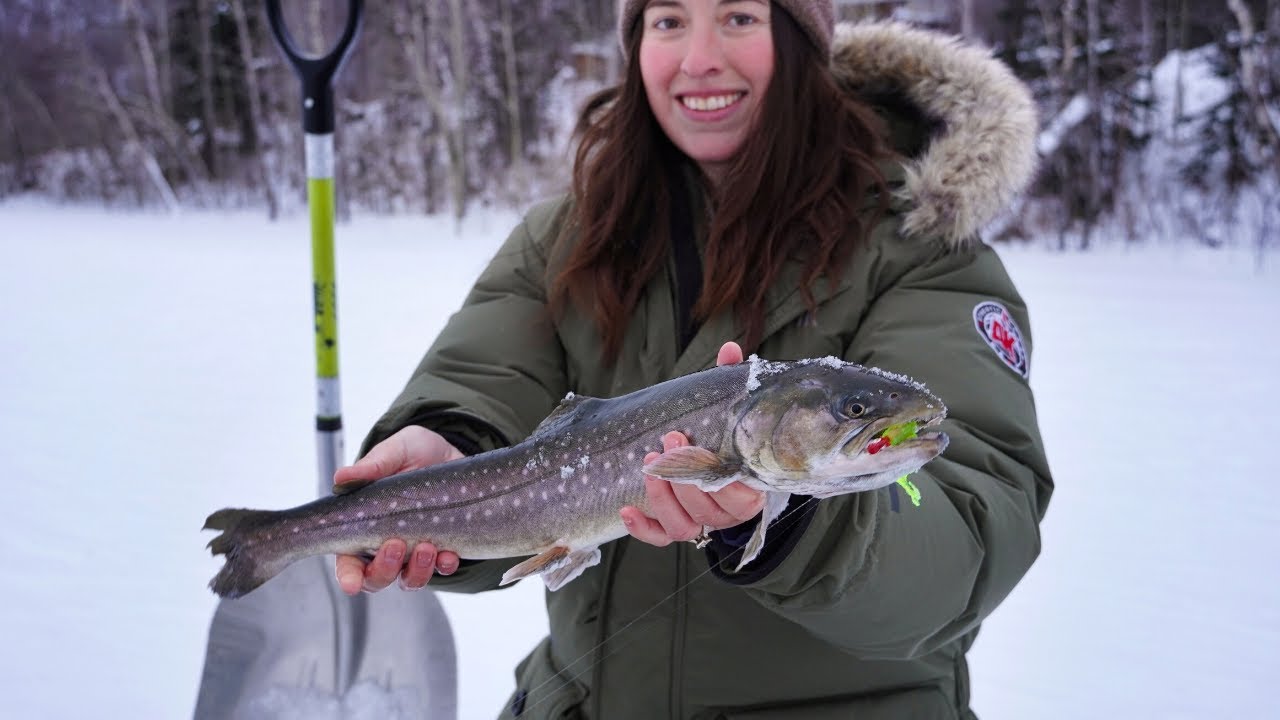 Had to use this audio 😂😂 #fyp #fishtok #arcticchar #alaska