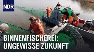 Die letzte Binnenfischerin | Die Nordreportage | NDR Doku