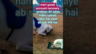 meri gmail account recovery problem thi isliye video upload nahin kar paya #unfrezzmyaccount #shorts