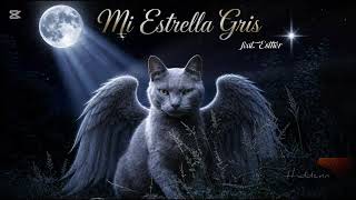 Hiddenn ▪︎ MI ESTRELLA GRIS (feat. Esther) ✨ MI LUZ DE 4 PATAS ❤️🐈‍⬛ | CANCIÓN EMOCIONAL NOSTÁLGICA