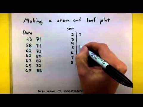 How to make a stem and leaf plot