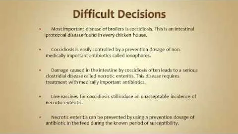 Dr. John Glisson - Antibiotic Stewardship Updates ...