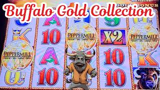 Buffalo Gold Collection slot machine live play.