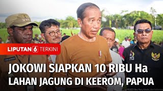 Presiden Jokowi Menyiapkan Lahan Pertanian Jagung di Kabupaten Keerom Seluas 10 Ribu Hektar