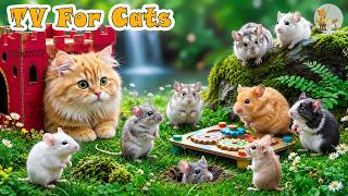 🔴 Ultimate Cat TV🐭Curious Mice Climb & Snack－Calm Cats & Beat Boredom Fast with Entertainment Videos