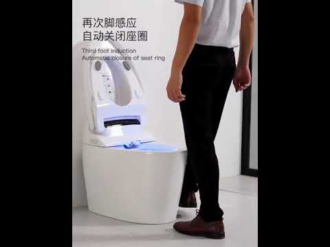 Умный унитаз Smart WC