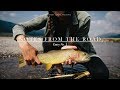 NOTES FROM THE ROAD: Entry No. 3 || FLY FISHING YELLOWSTONE || VAN LIFE 2017