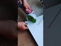 Alat pertukangan modern untuk memotong keramik dengan mudah #shorts