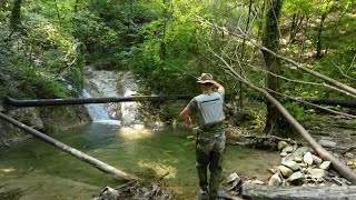 Pesca Alla Trota In Torrente - I Colli Bolognesi