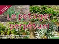 Le potager perpétuel - Autonomie et permaculture avec David