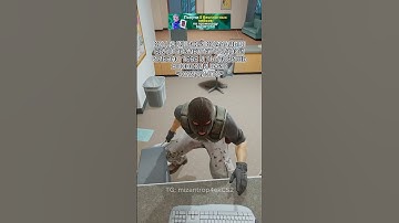 Это база #cs2 #cs2funny #cs2clips #cs2moments #cs2memes #кс2 #кс2мемы #кс2приколы #knifex #csgo #cs