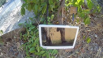 Eachine EF 01 unboxing, testing and analysis (Courtesy Banggood)