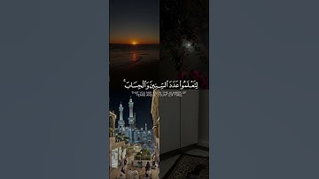 القارئ : عبدالرحمن مسعد