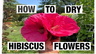 How to dry hibiscus flowers for tea